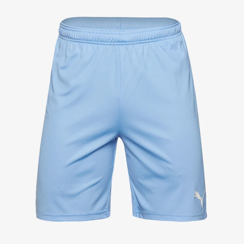 Pantalones Cortos Puma Goal 23 Knit