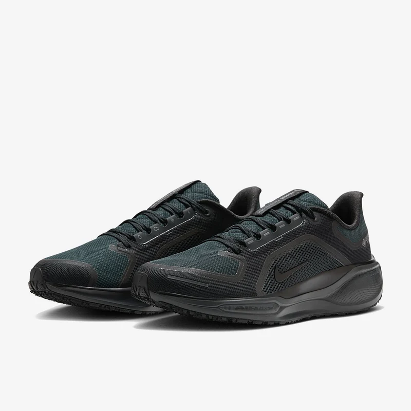 Nike Pegasus 41 GORE-TEX