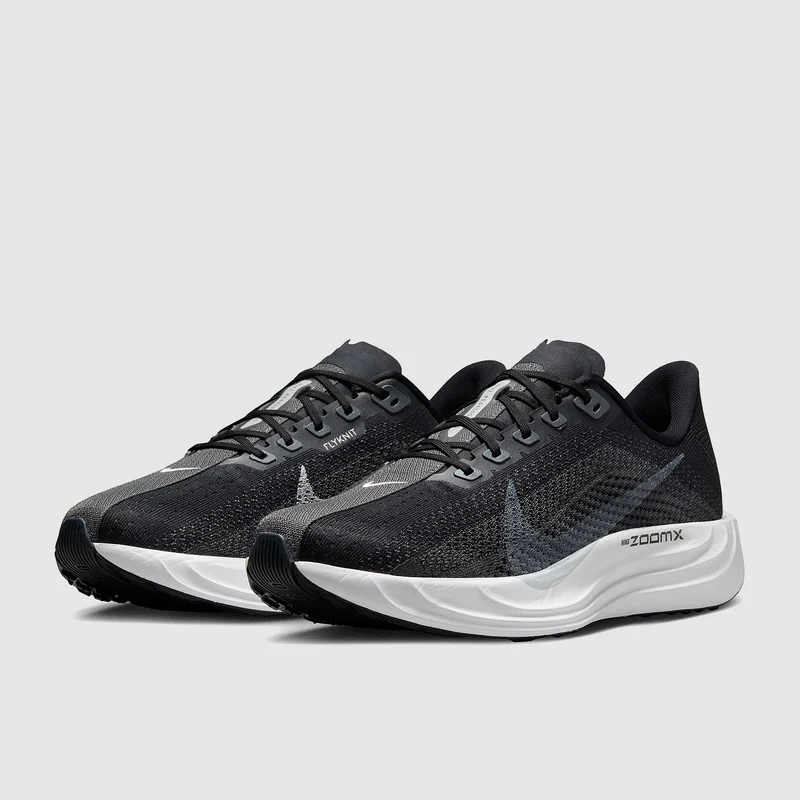 Nike Pegasus Plus