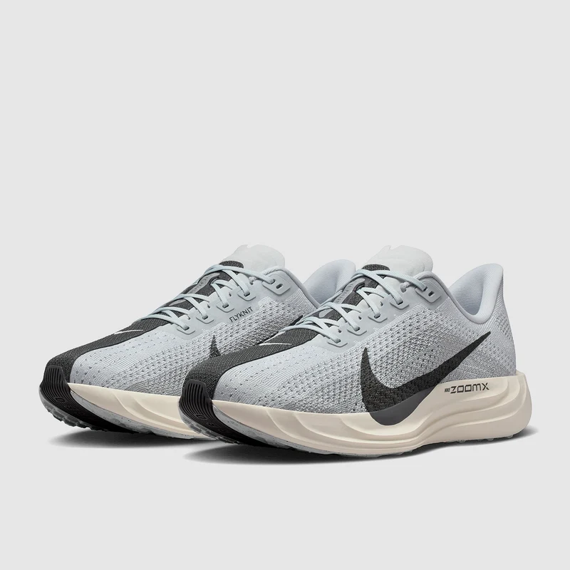 Nike Pegasus Plus