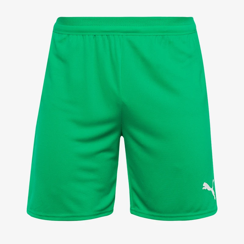 Pantalones cortos Puma teamCUP 25