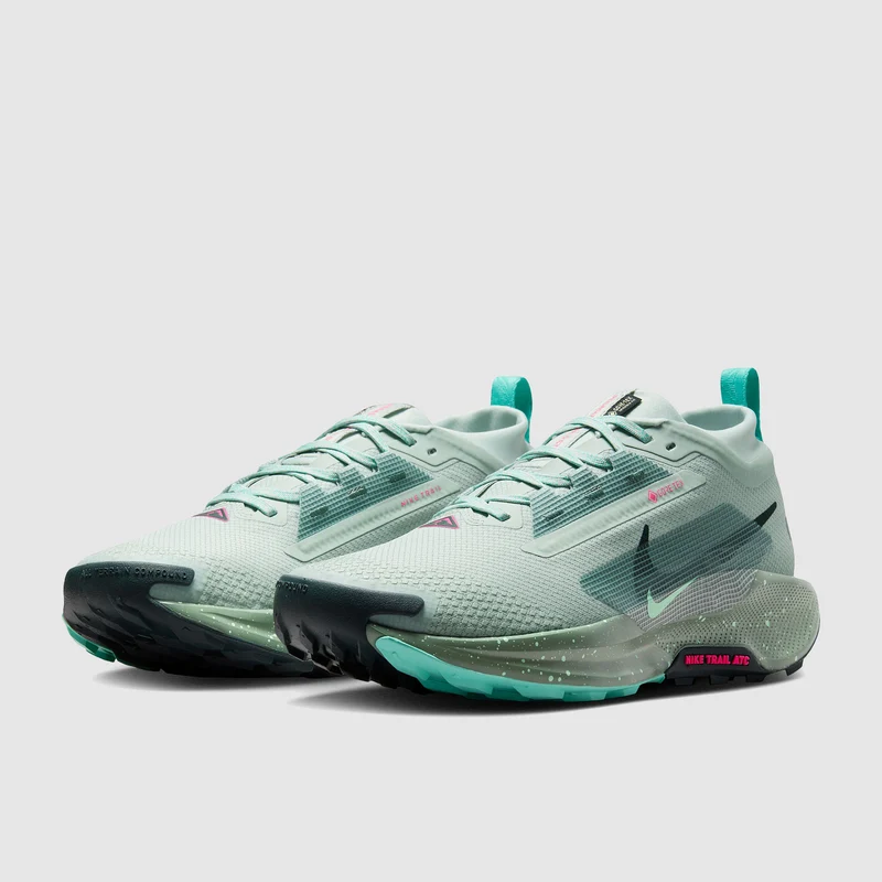 Nike Pegasus Trail 5 GORE-TEX Aguaproof