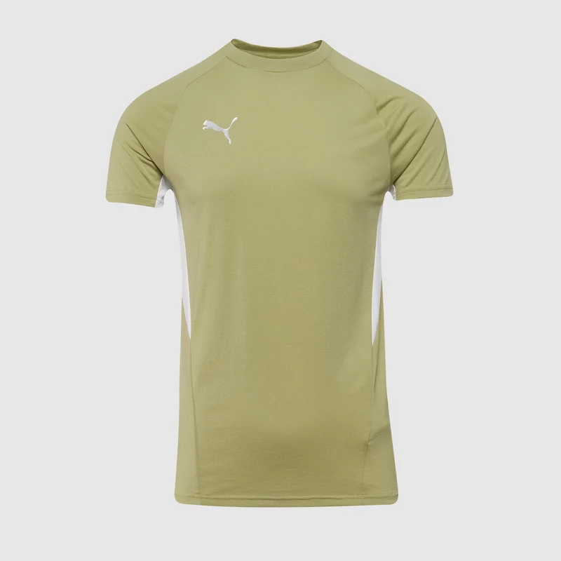 Camiseta Puma teamEVOSTRIPE 25 Slim MC
