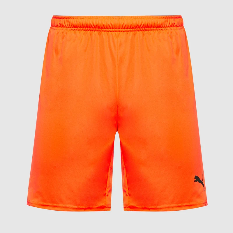 Pantalones cortos Puma teamGOAL 24