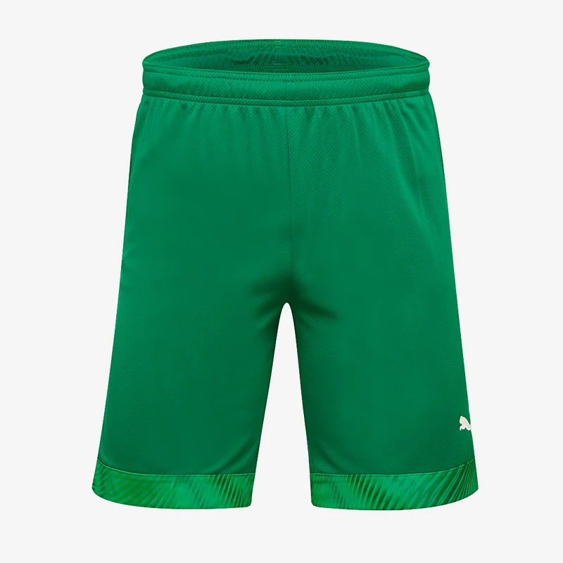 Puma CUP Shorts
