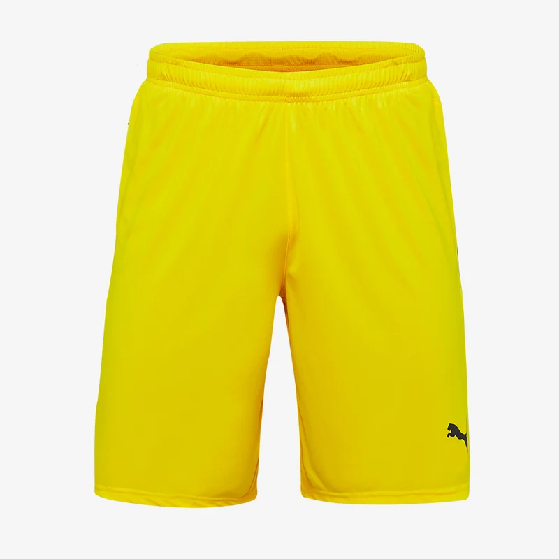 Puma LIGA Shorts