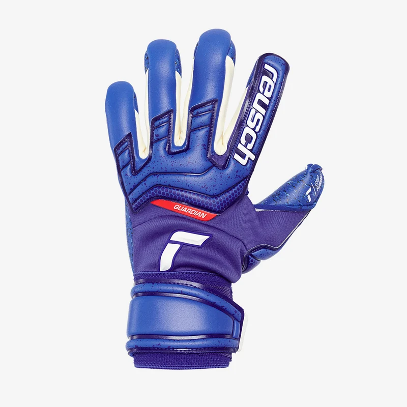 Reusch Attrakt Fusion Guardian