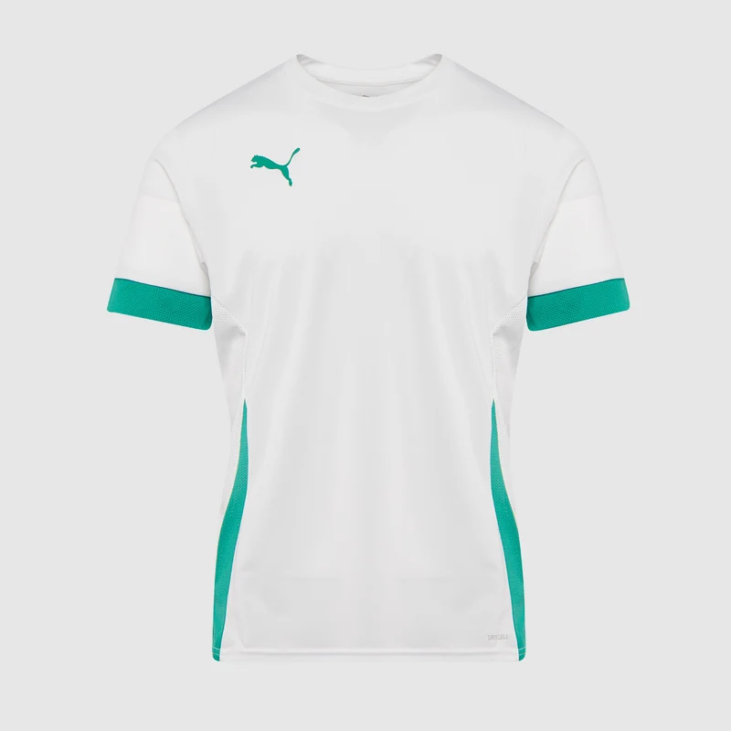 Camiseta Puma teamGOAL 24 MC Matchday