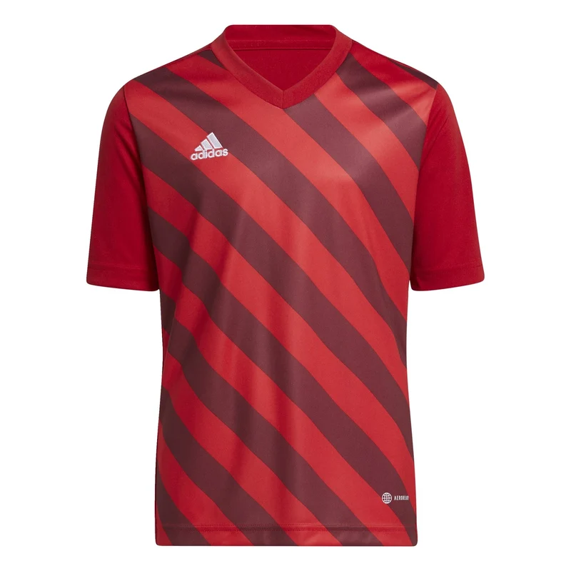 Camiseta adidas Entrada 22 GFX MC para niños