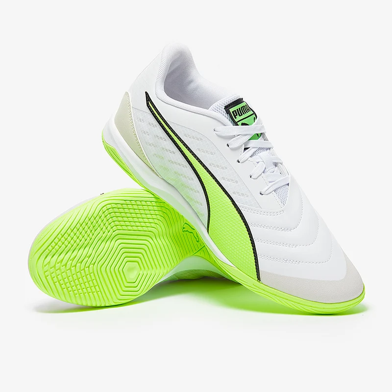 Puma Ibero IV