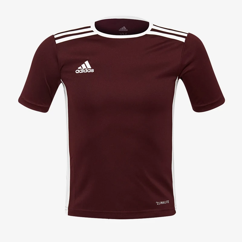 Camiseta adidas Junior Entrada 18 manga corta