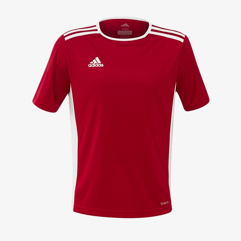 Camiseta adidas Junior Entrada 18 manga corta