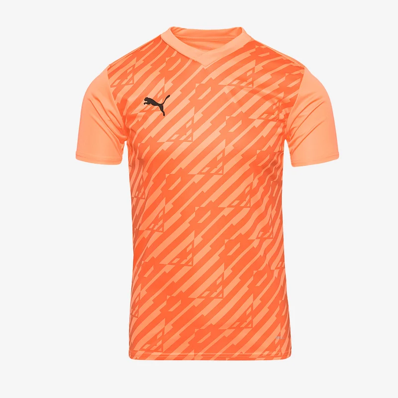 Camiseta Puma Team Cup Ultimate MC