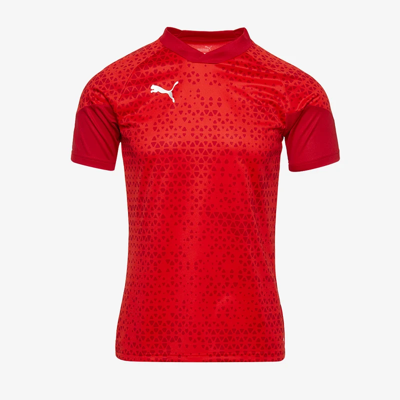 Camiseta de entrenamiento Puma Team Cup MC
