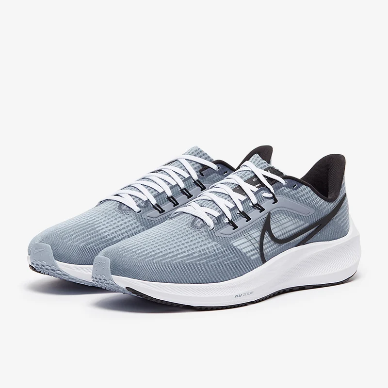 Nike Pegasus 39