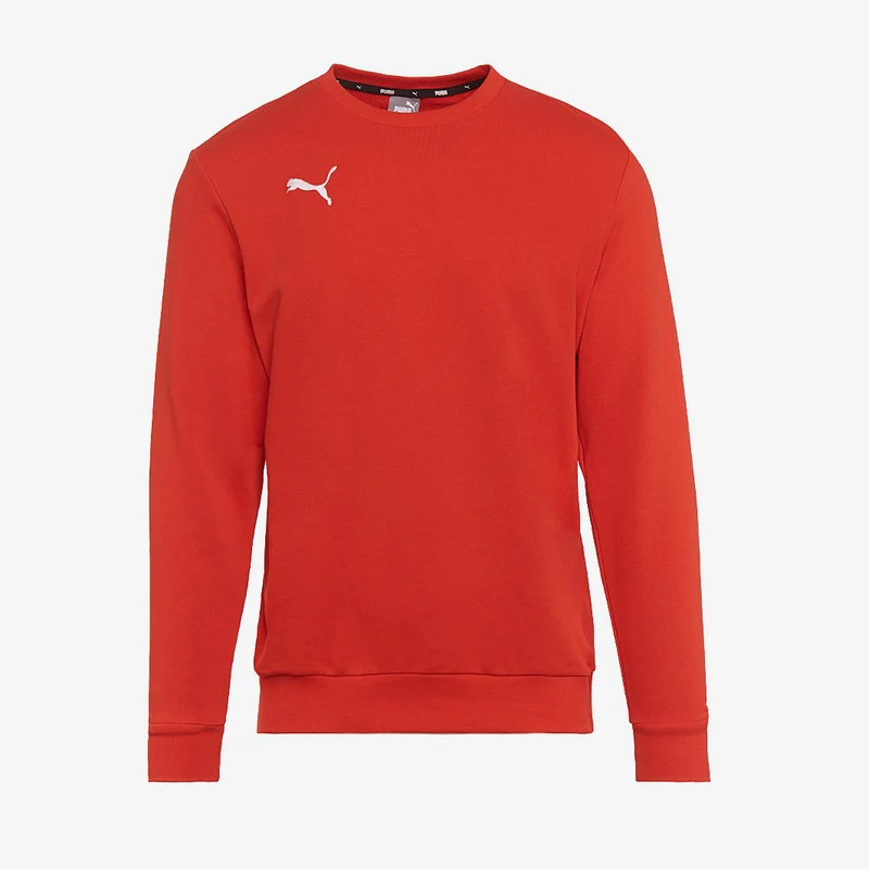 Sudadera Puma Goal 23 Casuals para niños