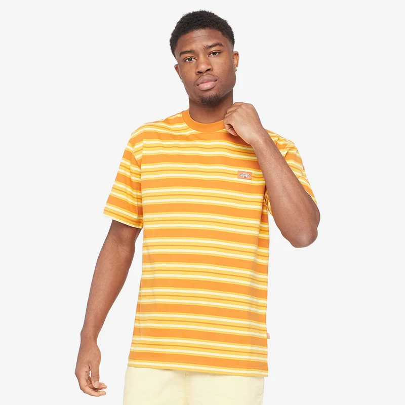 Camiseta Dickies Lynnwood