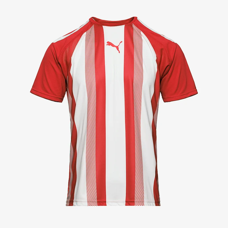 Camiseta Puma Team Liga Striped MC