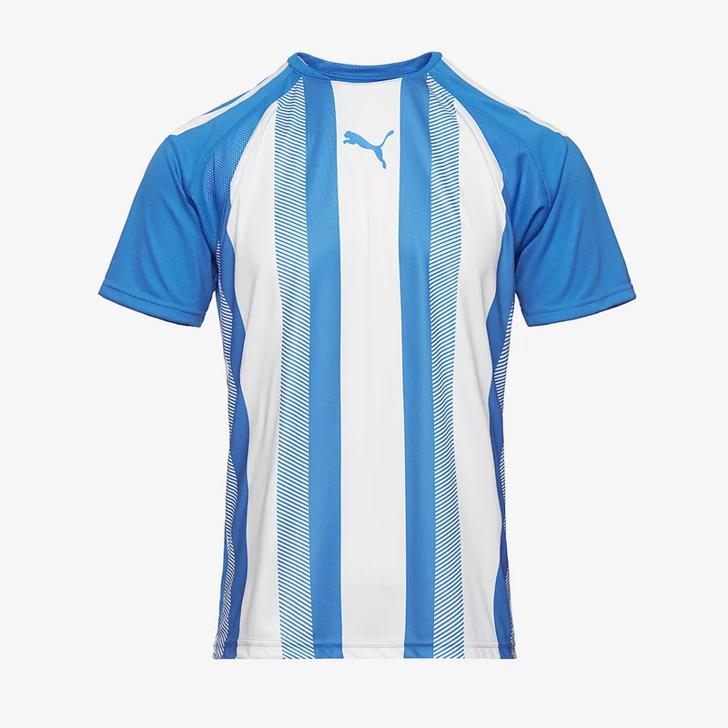 Camiseta Puma Team Liga Striped MC