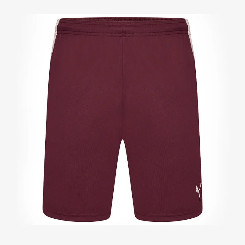 Pantalones cortos Puma Team Liga