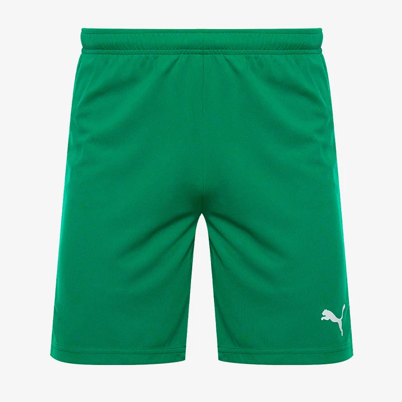 Puma teamRISE Shorts