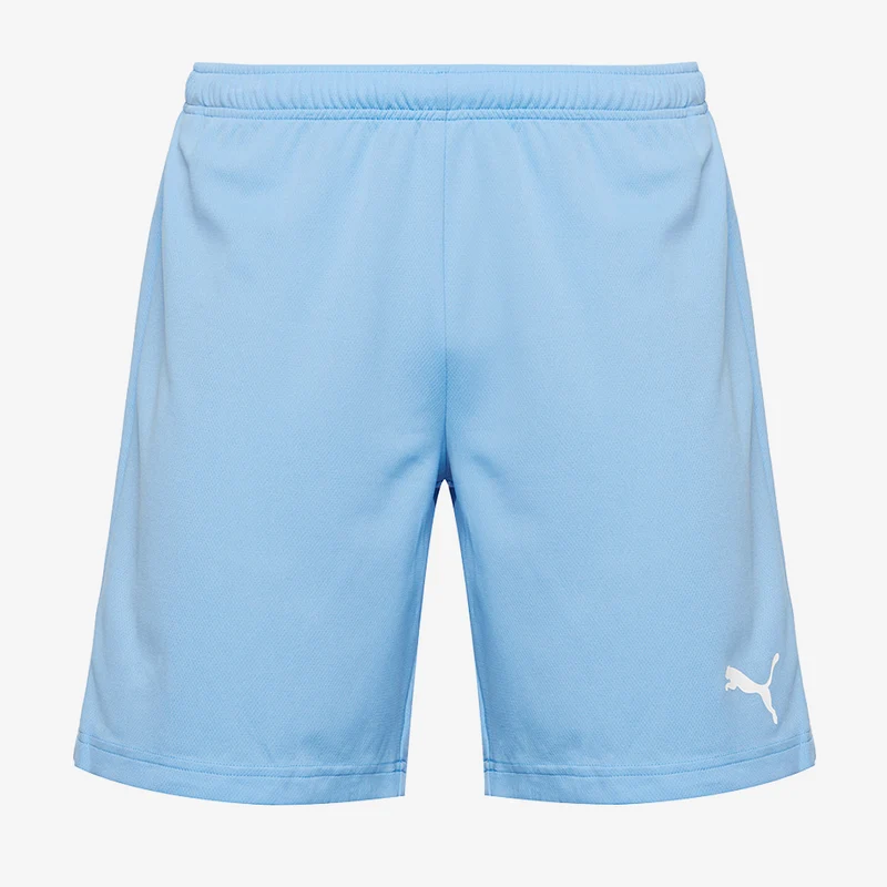Puma teamRISE Shorts