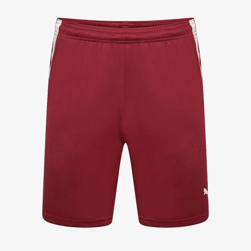 Pantalones cortos Puma Team Liga para niños