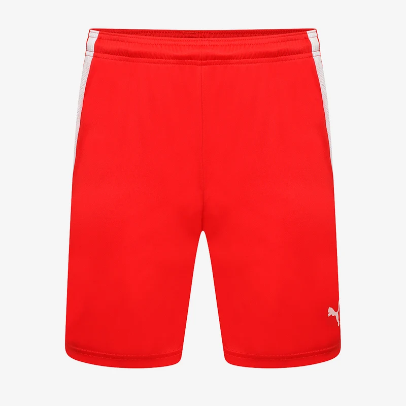 Pantalones cortos Puma Team Liga para niños