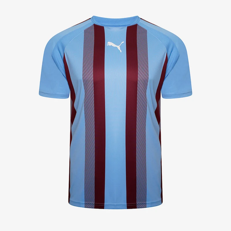 Camiseta Puma Team Liga Striped MC para niños