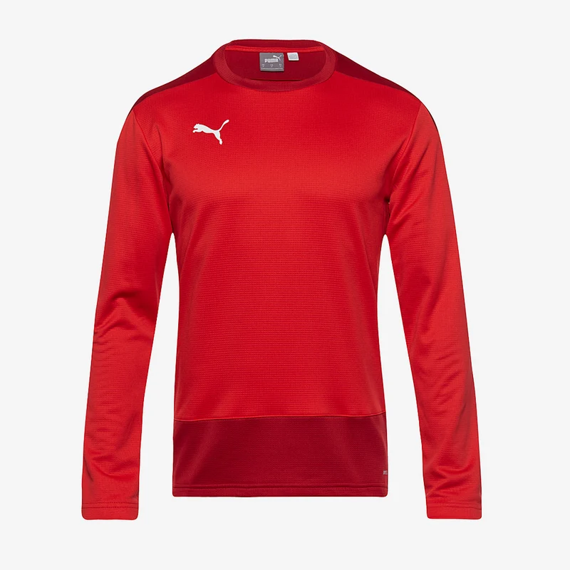 Sudadera de entrenamiento Puma Goal 23 para niños