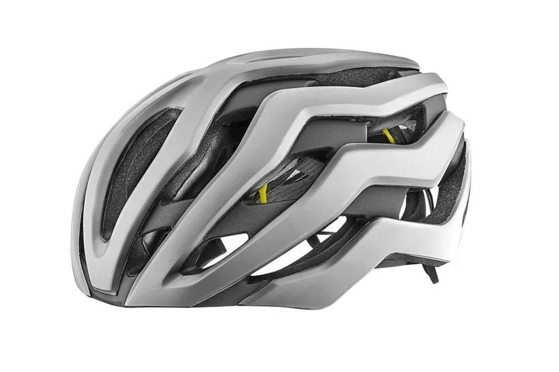 Casco de Ciclismo Giant Rev Pro Mips Plata Mate