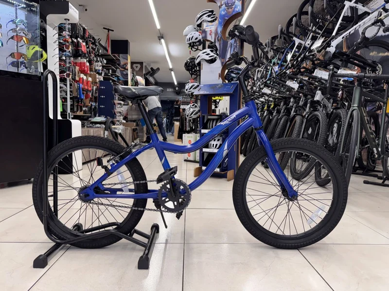 Bicicleta Niños Giant Usada Rin 20 Azul
